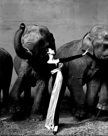 Richard Avedon – Darkness and Light