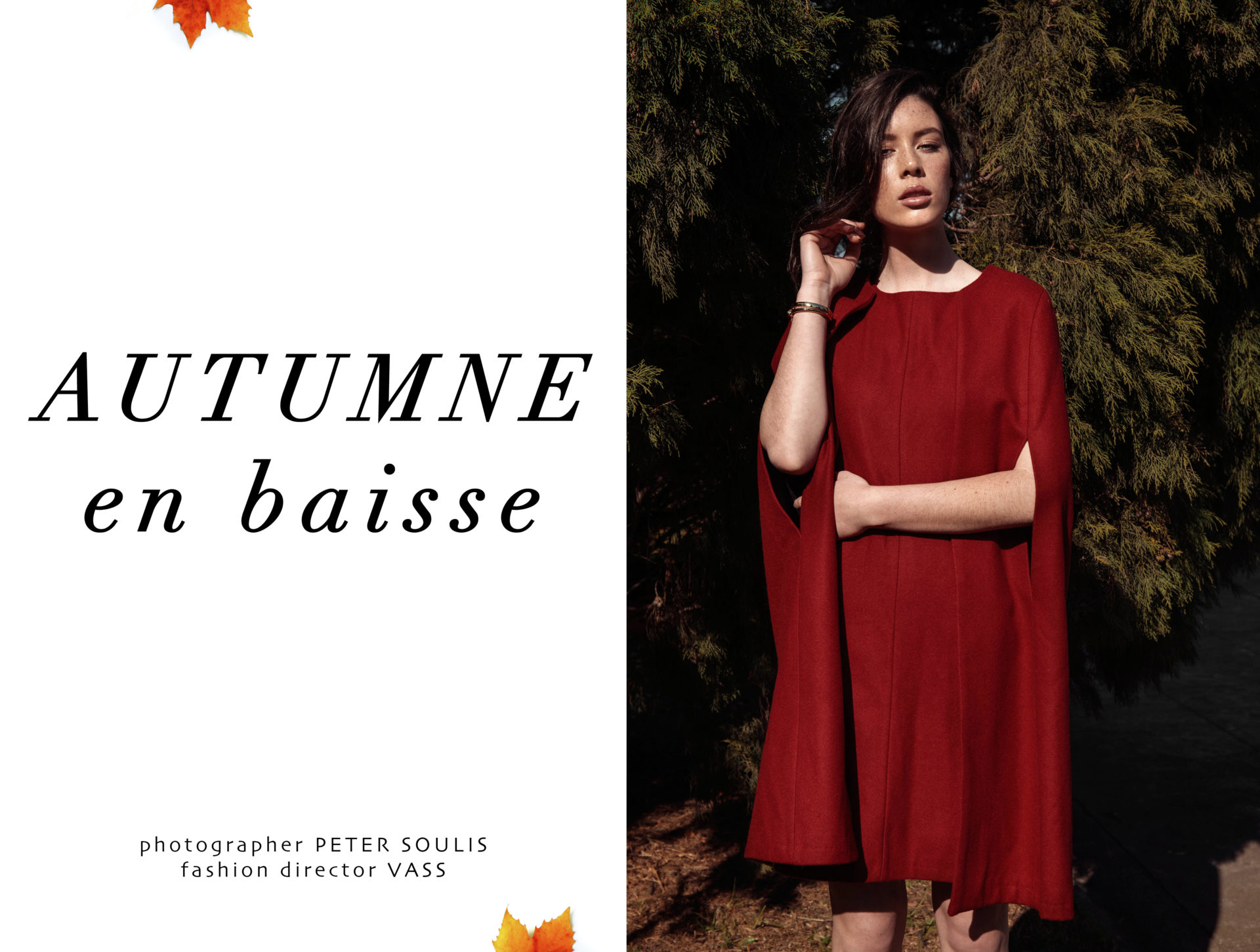 AUTUMNE  en baisse