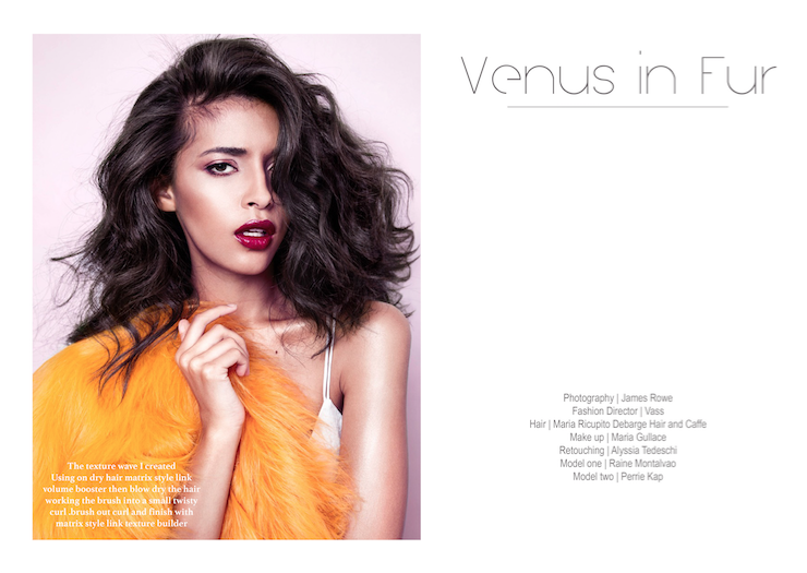 Venus in Fur
